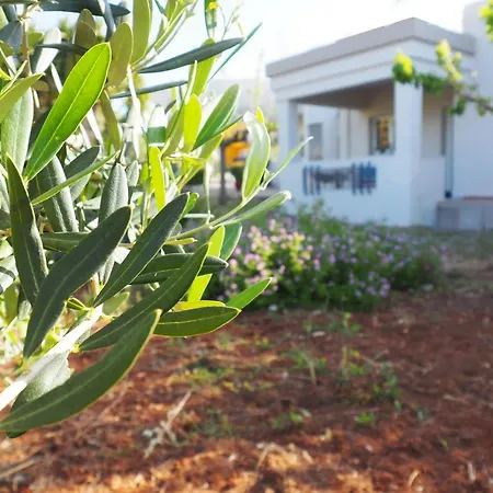 Olive House Holiday home
